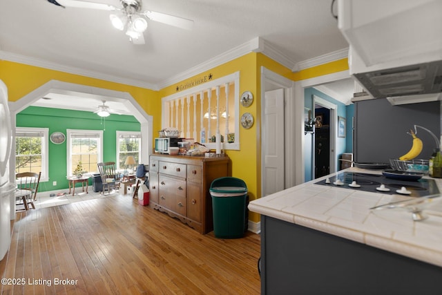 13429 Anneta Rd, Leitchfield, KY 42754 - kitchen featuring ceiling fan, tile countertops, black electric cooktop, light wood-style flooring, and crown molding