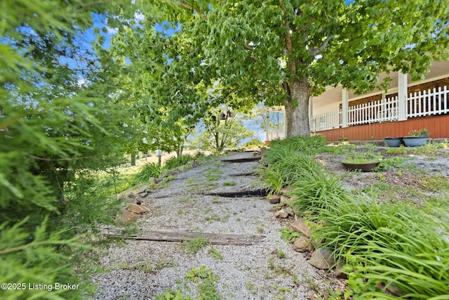 13429 Anneta Rd, Leitchfield, KY 42754 - view of yard