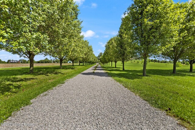 13429 Anneta Rd, Leitchfield, KY 42754 - surrounding community with a yard