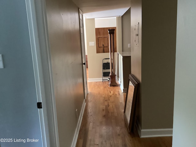 1815 Gardiner Ln Unit A9, Louisville, KY 40205 - corridor with wood finished floors and baseboards