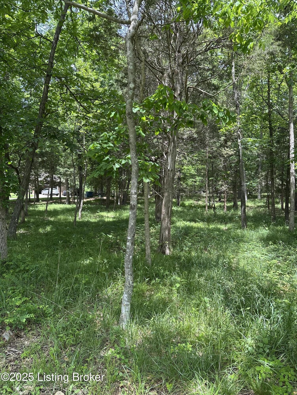 1603 Oakland Ct, La Grange, KY 40031