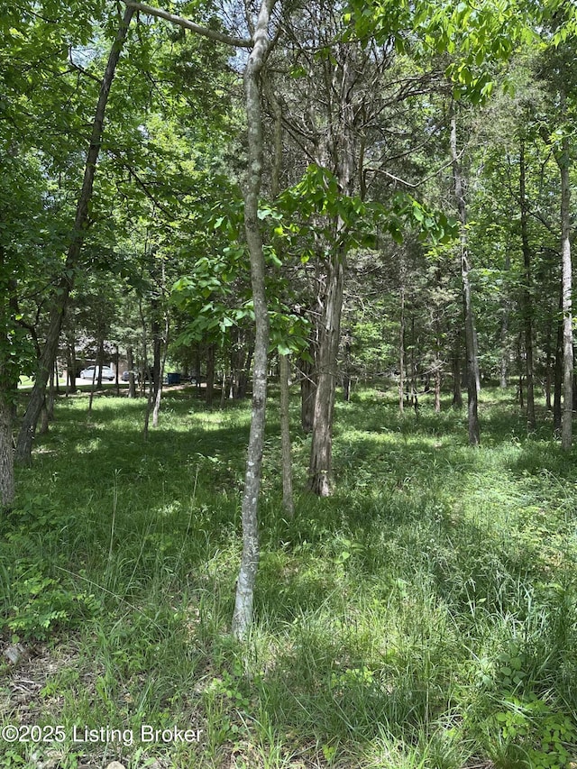 1603 Oakland Ct, La Grange, KY 40031