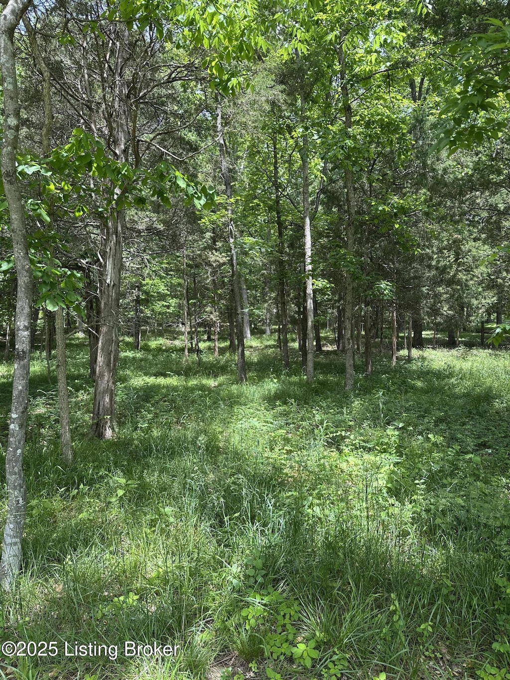 1603 Oakland Ct, La Grange, KY 40031