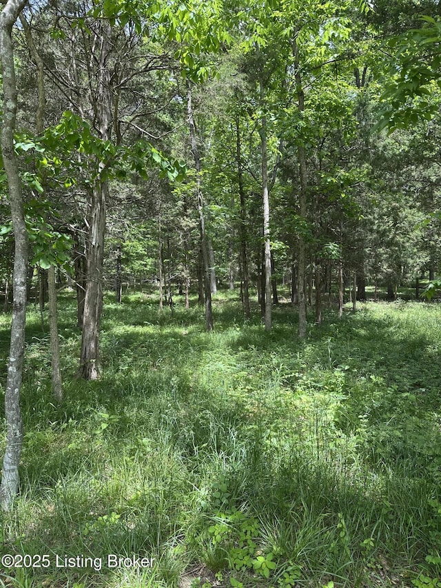 1603 Oakland Ct, La Grange, KY 40031