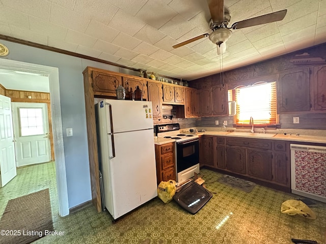 1629 Bardstown Rd, Hodgenville, KY 42748 - kitchen featuring white appliances, a sink, plenty of natural light, dark floors, and ornamental molding