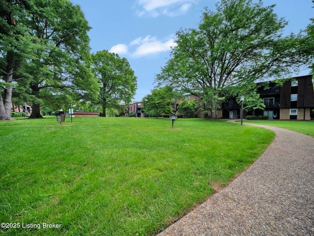 3506 Lodge Ln Unit 228, Louisville, KY 40218 - photo 19