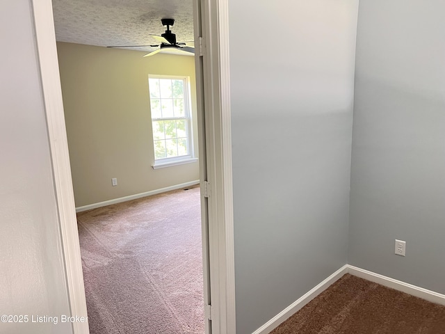7835 Bridlewood Pl, Louisville, KY 40228 - photo 20