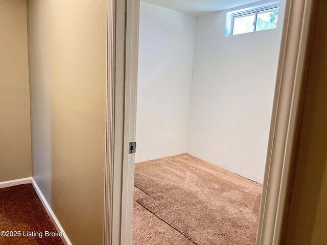 7835 Bridlewood Pl, Louisville, KY 40228 - photo 30