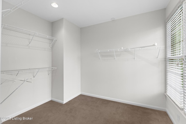 10121 Cave Creek Rd, Louisville, KY 40223 - spacious closet with carpet floors