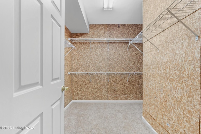 10121 Cave Creek Rd, Louisville, KY 40223 - walk in closet with carpet flooring