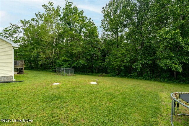 254 Persell Rd, Bedford, KY 40006 - view of grassy yard featuring a trampoline