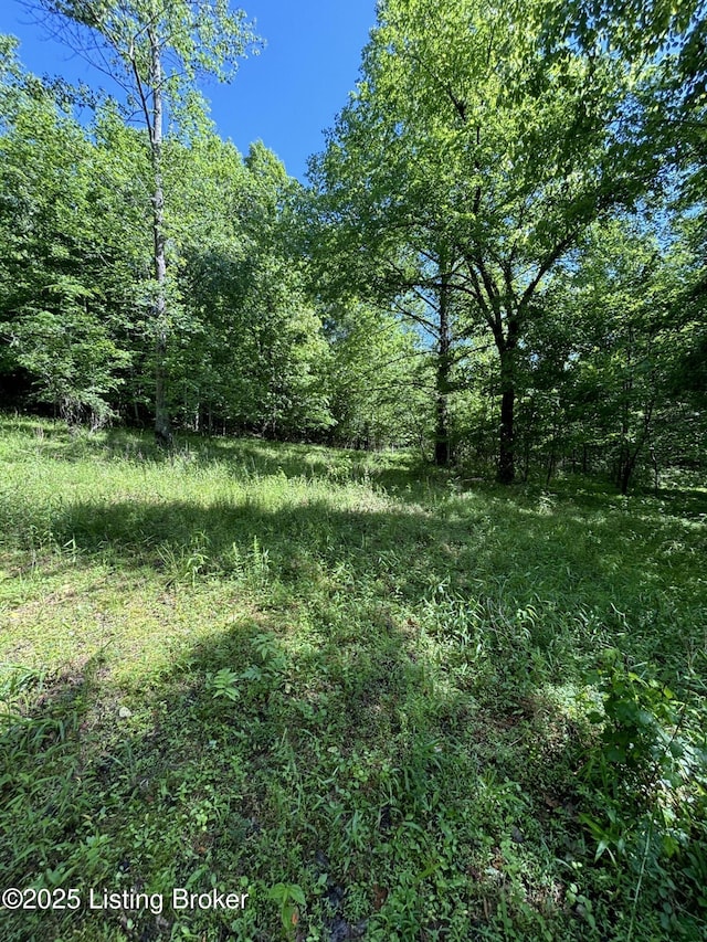 0 Dry Fork Rd, Raywick, KY 40060 - photo 4
