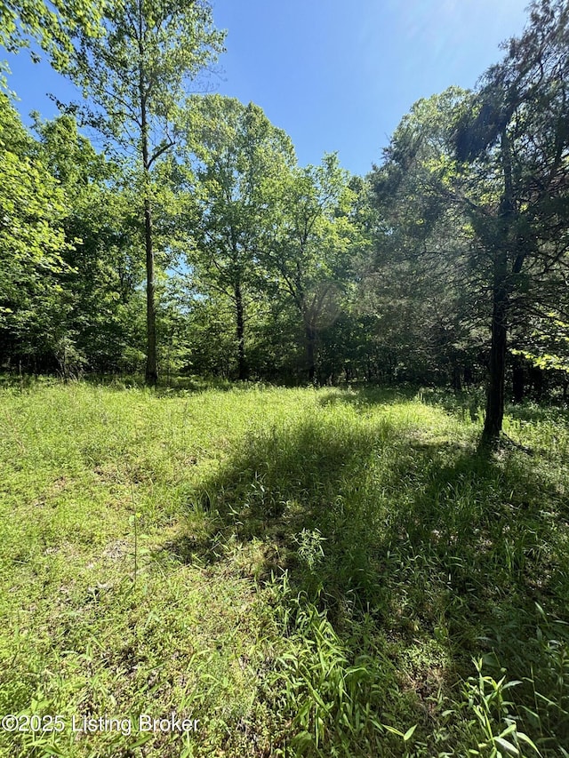 0 Dry Fork Rd, Raywick, KY 40060 - photo 5