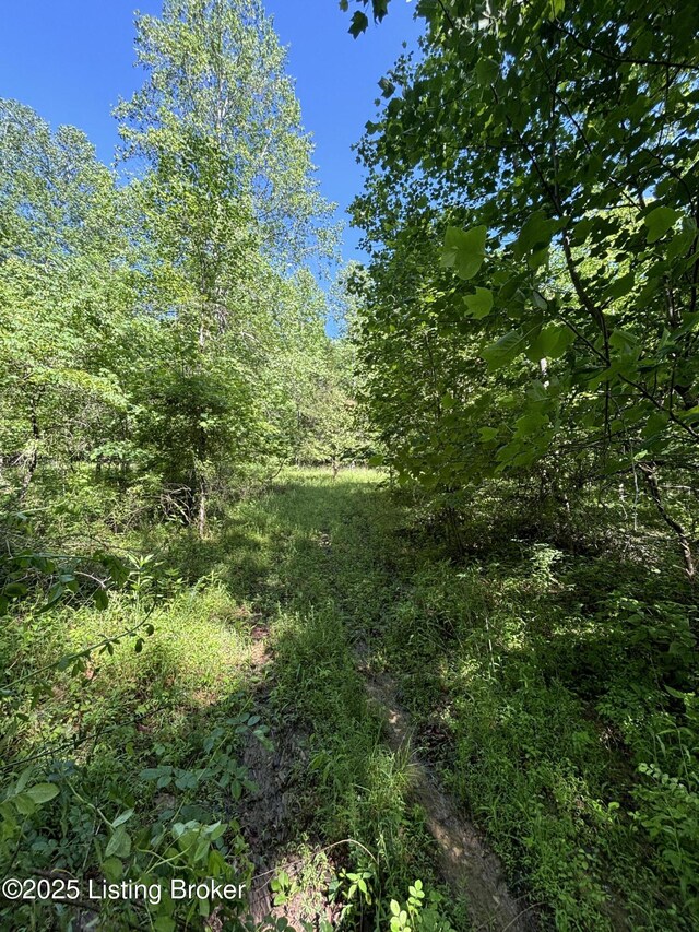 0 Dry Fork Rd, Raywick, KY 40060 - photo 6