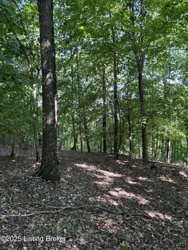 0 Dry Fork Rd, Raywick, KY 40060 - photo 7
