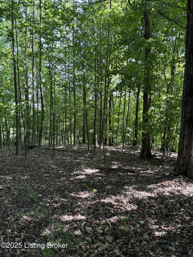 0 Dry Fork Rd, Raywick, KY 40060 - photo 9