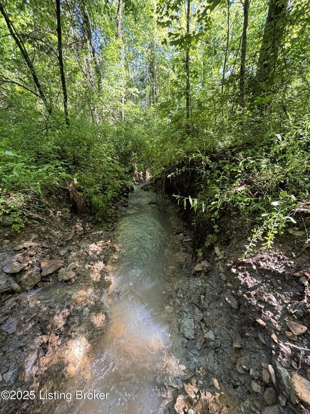 0 Dry Fork Rd, Raywick, KY 40060 - photo 11