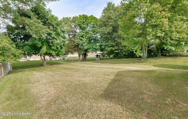 112 Bivins Ct, Radcliff, KY 40160 - view of yard