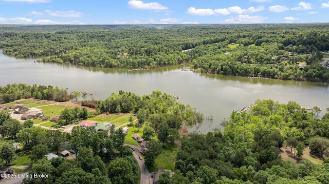 151 Crestview Dr, Clarkson, KY 42726