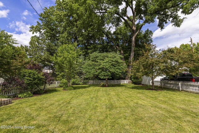 437 Bauer Ave, Louisville, KY 40207 - photo 11