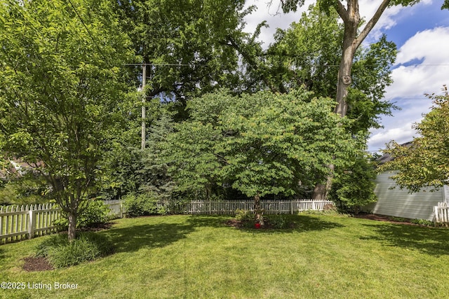 437 Bauer Ave, Louisville, KY 40207 - photo 14