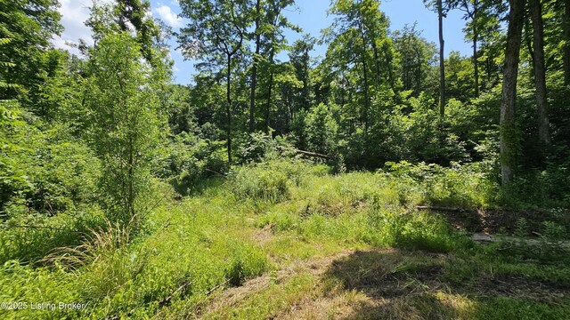 4877 S Martinsburg Rd, Salem, IN 47167 - photo 65