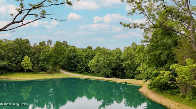 280 Taylor Bright Rd, Bagdad, KY 40003 - photo 41