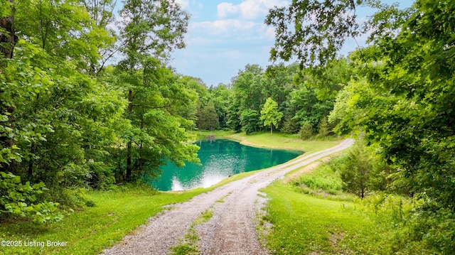 280 Taylor Bright Rd, Bagdad, KY 40003 - photo 44