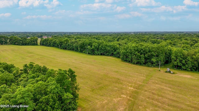280 Taylor Bright Rd, Bagdad, KY 40003 - photo 47