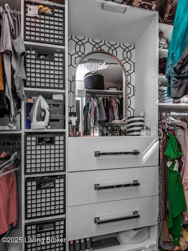 9505 River Trail Dr, Louisville, KY 40229 - view of walk in closet