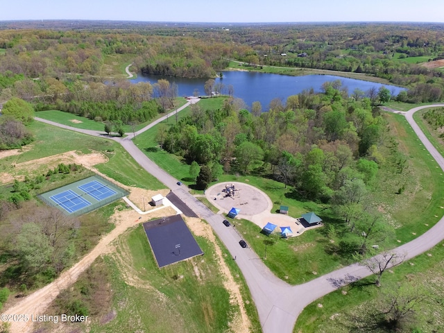 17121 Piton Way, Louisville, KY 40245 - aerial view of property's location with a forest and a nearby body of water