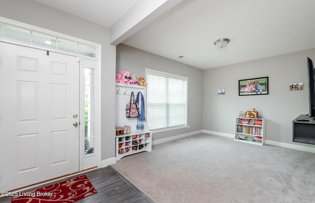 17121 Piton Way, Louisville, KY 40245 - foyer entrance featuring baseboards