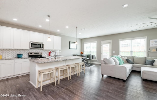 17121 Piton Way, Louisville, KY 40245 - kitchen featuring stainless steel appliances, open floor plan, a sink, a center island with sink, and dark wood-style floors