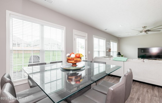17121 Piton Way, Louisville, KY 40245 - dining room with wood finished floors and a ceiling fan