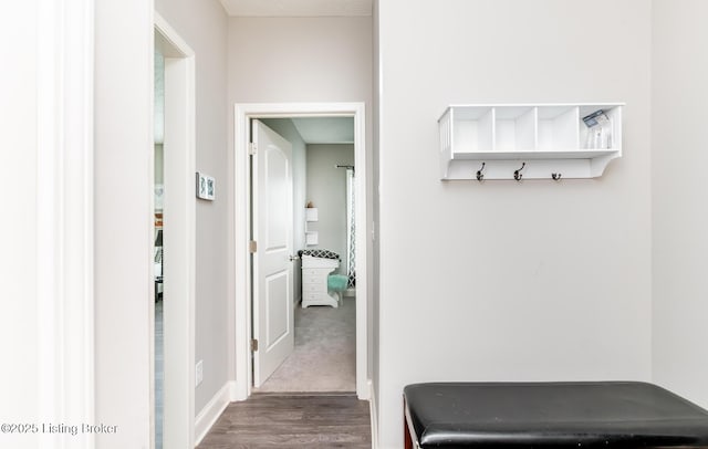 17121 Piton Way, Louisville, KY 40245 - hallway with wood finished floors and baseboards
