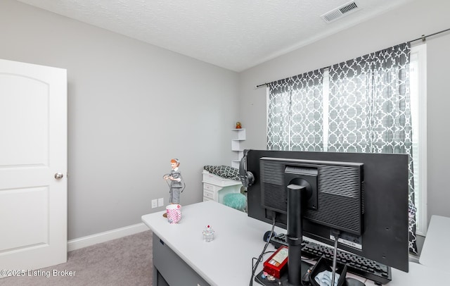17121 Piton Way, Louisville, KY 40245 - home office with carpet flooring, baseboards, and a textured ceiling