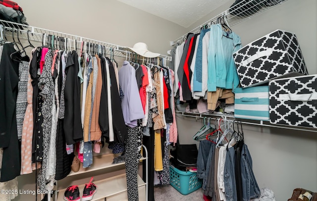 17121 Piton Way, Louisville, KY 40245 - walk in closet featuring carpet floors