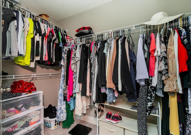17121 Piton Way, Louisville, KY 40245 - view of spacious closet