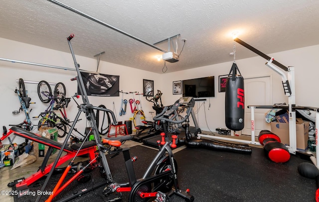 17121 Piton Way, Louisville, KY 40245 - workout room with a garage and a textured ceiling