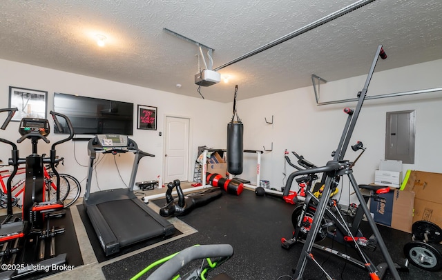 17121 Piton Way, Louisville, KY 40245 - workout area with electric panel, a garage, and a textured ceiling