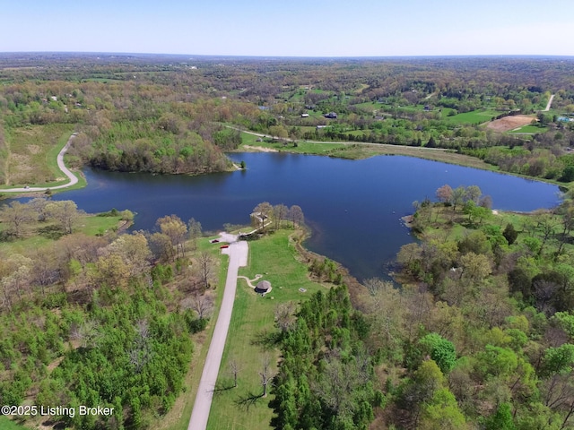 17121 Piton Way, Louisville, KY 40245 - aerial view of property's location with a forest and a nearby body of water