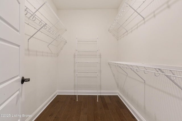 1911 Dressage Cir, Louisville, KY 40245 - spacious closet with dark wood-style flooring