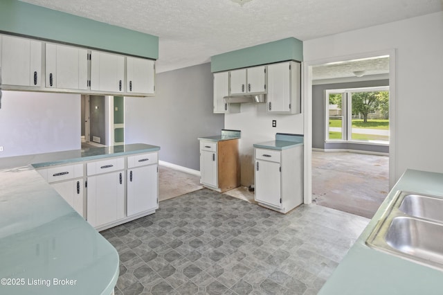 360 Pumpkin Rd, Shepherdsville, KY 40165 - kitchen with white cabinets, baseboards, a sink, and a textured ceiling