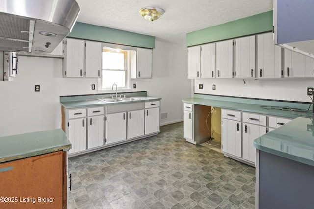 360 Pumpkin Rd, Shepherdsville, KY 40165 - kitchen with a sink, extractor fan, white cabinetry, stone finish floors, and a textured ceiling