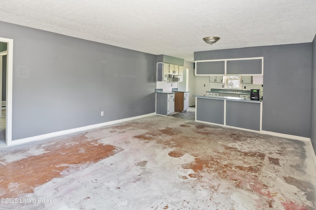 360 Pumpkin Rd, Shepherdsville, KY 40165 - unfurnished living room featuring a textured ceiling, baseboards, and a sink