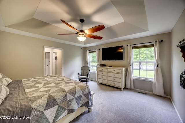 4605 Clarkhurst Cir, Smithfield, KY 40068 - bedroom with a tray ceiling, multiple windows, and light colored carpet