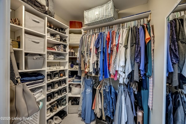 4605 Clarkhurst Cir, Smithfield, KY 40068 - view of walk in closet