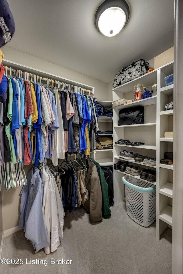 4605 Clarkhurst Cir, Smithfield, KY 40068 - walk in closet with carpet