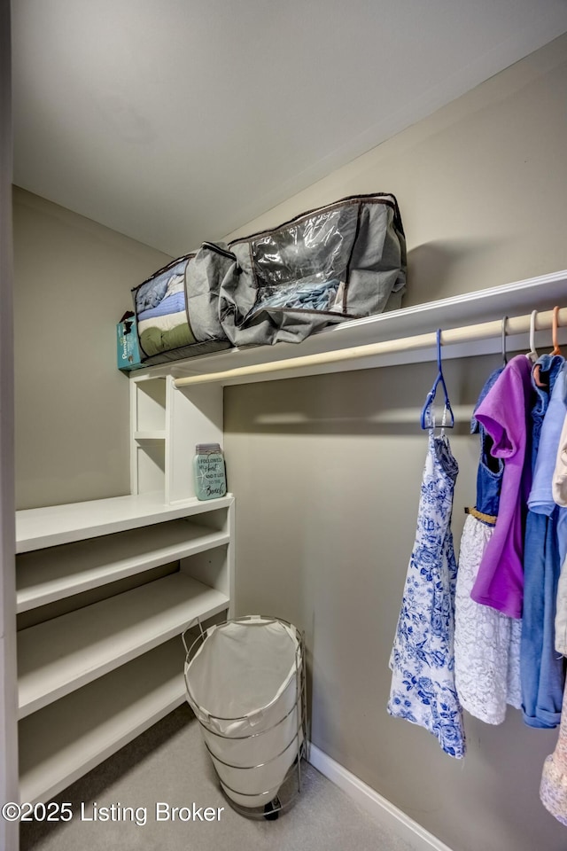 4605 Clarkhurst Cir, Smithfield, KY 40068 - view of spacious closet