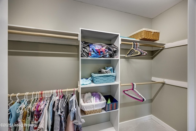 4605 Clarkhurst Cir, Smithfield, KY 40068 - view of spacious closet